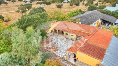Single-family chalet in Casar de Cáceres photo 15