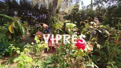 Finca rústica en venta en los Milagros-La Corchera, Los Milagros-La Corchera (Mérida) de 200.000 €