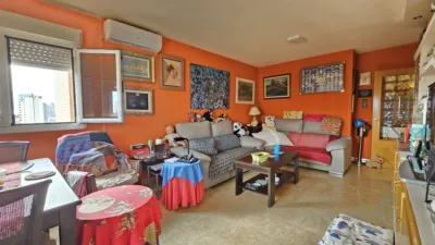 Apartment in Platja de Ponent photo 6