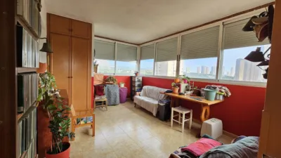 Apartment in Platja de Ponent photo 7