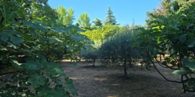 Casa en venta en Avenida de la Constitución, Arenas de San Pedro de 1.100.000 €