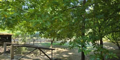 Casa en venta en Avenida de la Constitución, Arenas de San Pedro de 1.100.000 €