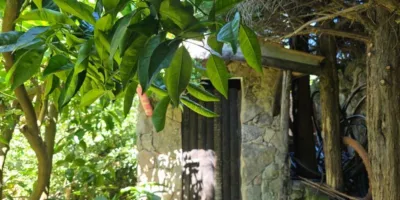 Casa en venta en Avenida de la Constitución, Arenas de San Pedro de 1.100.000 €