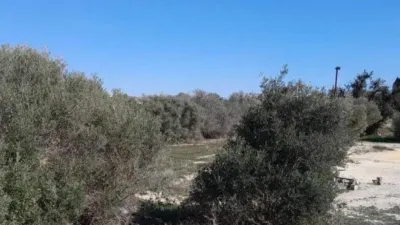 Terreno en venta en Pd Barberes Sur - Vista 5