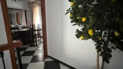 Apartment in Plaza de Andalucía photo 5