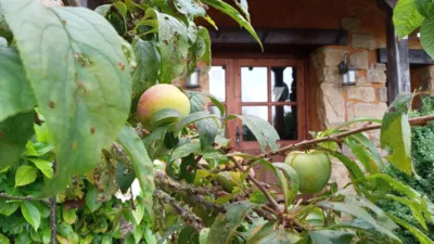 Rustic house on Calle Barrio Ahorcado photo 8