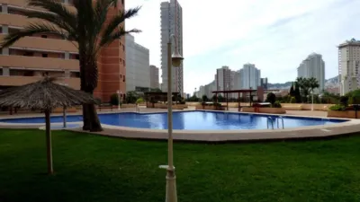 Apartment in Platja de Ponent photo 15