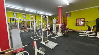 Miniatura 12