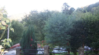 House in San Miguel Neighborhood photo 5