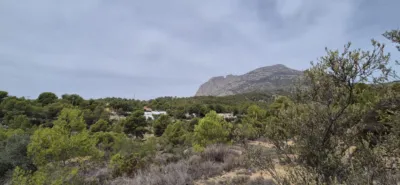 Rustic Finca in the Finestrat Area photo 4