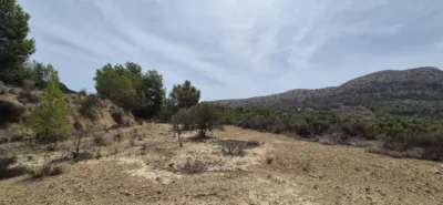 Rustic Finca in the Finestrat Area photo 5