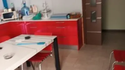 Miniatura 12