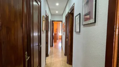 Apartment on Pedro III 'El Grande' Street photo 15