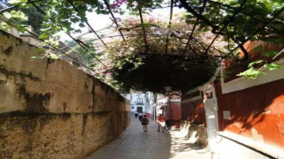 Flat in Palmete photo 20