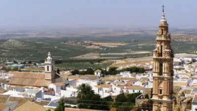 Flat in Palmete photo 22