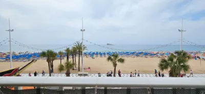 Apartment in Platja de Llevant photo 8