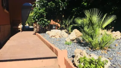 Habitación en alquiler en San Agustín del Guadalix, San Agustín del Guadalix de 750 €<span>/mes</span>