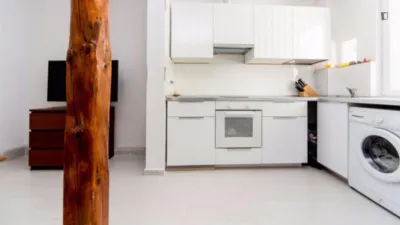 Piso en alquiler en Embajadores-Lavapiés - Imagen 6