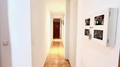 Apartment in Santa María del Águila photo 9