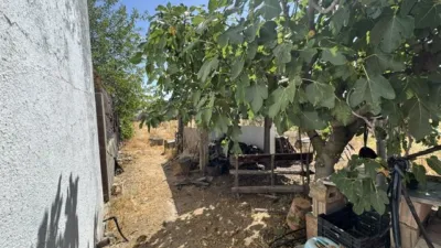 Finca rústica en venta en Reina Sofía-Salesianos-Bodegones, Reina Sofía-Salesianos-Bodegones (Mérida) de 120.000 €