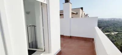 Apartment on Calle Médico Basilio Paredes photo 4