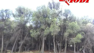 Rustic house in Villamena photo 26
