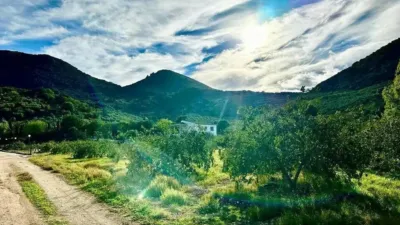 Rustic house in Carcabuey photo 21