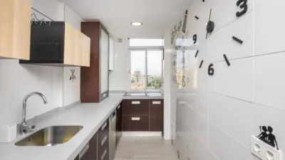 Apartment in Cartuja photo 5