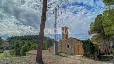 Rustic House in Santa Rosa photo 17