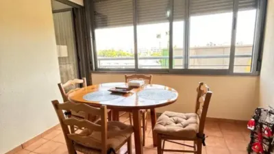 Apartment in Santa Pola photo 15