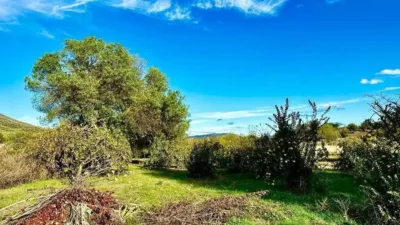 Rustic house in Carcabuey photo 39