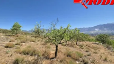 Rustic house in Villamena photo 30