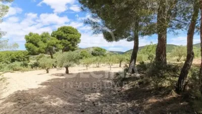 Rustic property in Onil photo 39