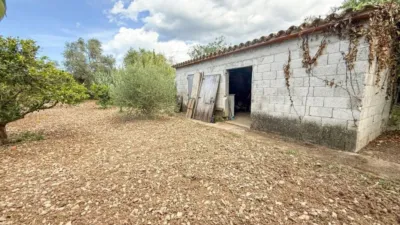 Rustic property in Pollença photo 21
