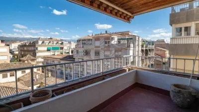 Apartment on Calle Tejeiro photo 23