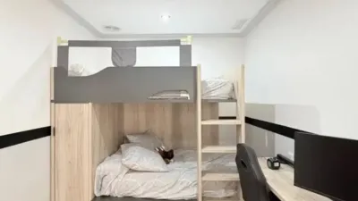 Apartment in Altabix photo 25