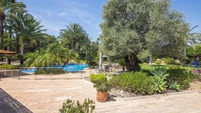Chalet in Torrellano-Valverde-Business Park photo 65