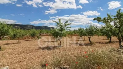 Rustic property in Onil photo 35