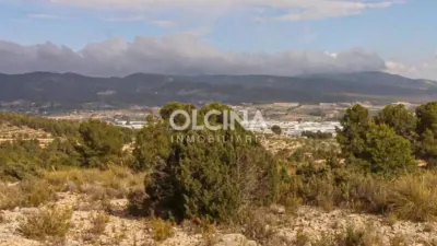 Rustic house in Ibi photo 13
