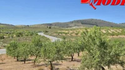 Rustic house in Villamena photo 36