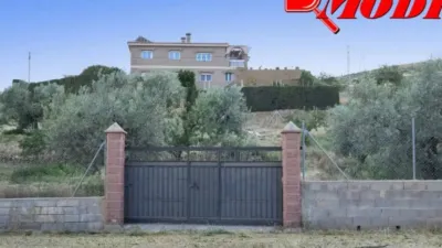 Chalet in Padul photo 56