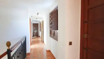 Chalet in Torrellano-Valverde-Business Park photo 36