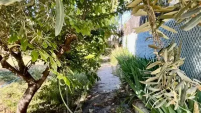 Chalet in San Antón-El Palmeral photo 66