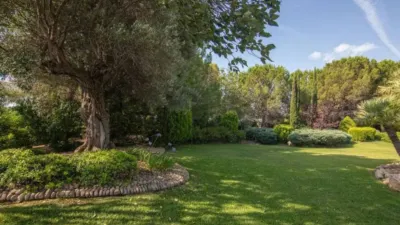 Chalet in Torrellano-Valverde-Business Park photo 67