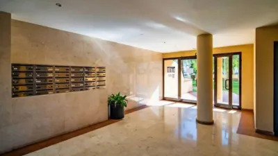 Apartment in L'Alfàs del Pi photo 9