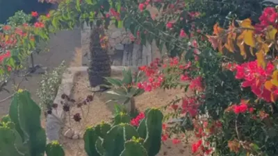 Chalet en Calpe - Calp photo 31