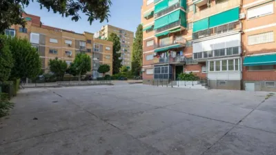 Apartment in Cartuja photo 20