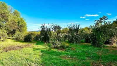 Rustic house in Carcabuey photo 37