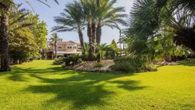 Chalet in Torrellano-Valverde-Business Park photo 6
