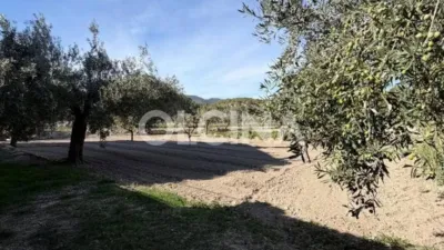 Rustic house in Tibi photo 5